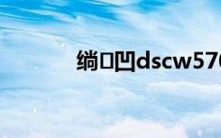 绱㈠凹dscw570（dsc w570）