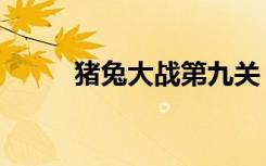 猪兔大战第九关（猪兔大战下载）