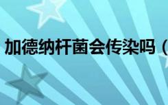 加德纳杆菌会传染吗（加德纳杆菌会自愈吗）