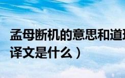 孟母断机的意思和道理（《孟母断机》原文以译文是什么）