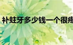 补蛀牙多少钱一个很疼（补蛀牙多少钱一颗）