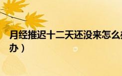 月经推迟十二天还没来怎么办（月经推迟十二天还没来怎么办）