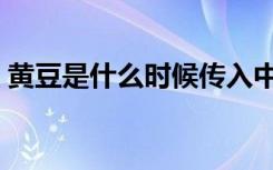 黄豆是什么时候传入中国的（黄豆是毛豆吗）