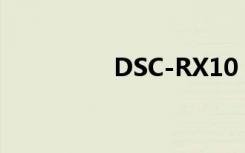 DSC-RX10（dsc tx10）