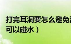 打完耳洞要怎么避免洗头碰水（打了耳洞多久可以碰水）