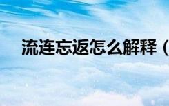 流连忘返怎么解释（流连忘返怎么造句）