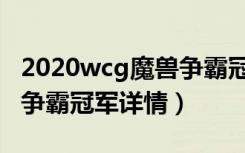 2020wcg魔兽争霸冠军是谁（2020wcg魔兽争霸冠军详情）