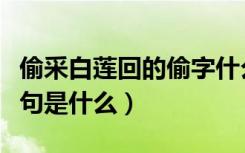 偷采白莲回的偷字什么意思（偷采白莲回上一句是什么）