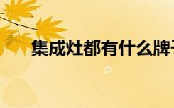 集成灶都有什么牌子（集成灶好不好）