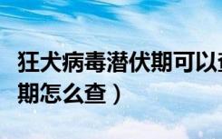 狂犬病毒潜伏期可以查出来吗（狂犬病毒潜伏期怎么查）
