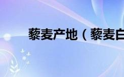 藜麦产地（藜麦白色好还是三色好）