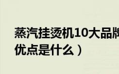 蒸汽挂烫机10大品牌是什么（蒸汽挂烫机的优点是什么）