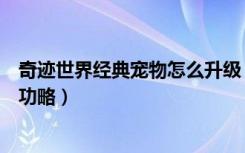 奇迹世界经典宠物怎么升级（《奇迹世界》新手必看的任务功略）
