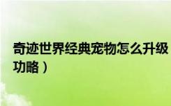 奇迹世界经典宠物怎么升级（《奇迹世界》新手必看的任务功略）