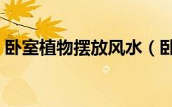 卧室植物摆放风水（卧室适合摆放哪些植物）