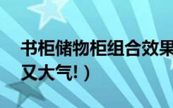 书柜储物柜组合效果图（组合书柜,美观实用又大气!）