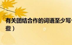 有关团结合作的词语至少写七个（有关团结合作的词语有哪些）