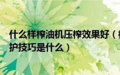 什么样榨油机压榨效果好（榨油机哪个牌子好，榨油机的养护技巧是什么）