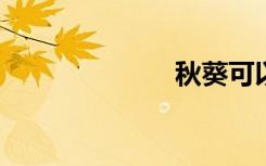 秋葵可以生吃吗