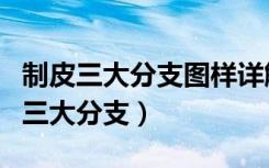 制皮三大分支图样详解（魔兽世界制皮制作的三大分支）