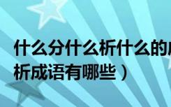 什么分什么析什么的成语有哪些（什么分什么析成语有哪些）