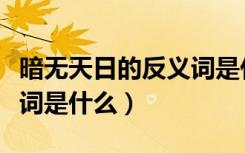 暗无天日的反义词是什么呢（暗无天日的反义词是什么）