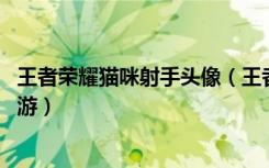 王者荣耀猫咪射手头像（王者荣耀猫咪射手接头大全 快吧手游）