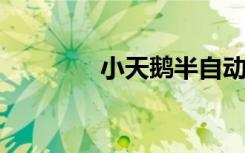 小天鹅半自动洗衣机怎么样