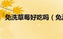 免洗草莓好吃吗（免洗草莓真的不用洗吗）