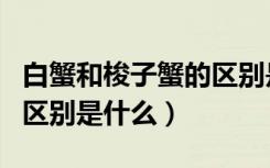 白蟹和梭子蟹的区别是什么（白蟹和梭子蟹的区别是什么）