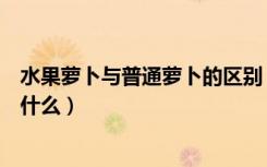 水果萝卜与普通萝卜的区别（水果萝卜与普通萝卜的区别是什么）