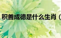 积善成德是什么生肖（积善成德是什么意思）