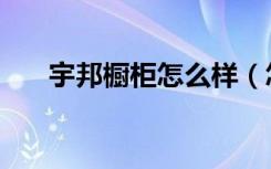 宇邦橱柜怎么样（怎么挑宇邦橱柜呢）