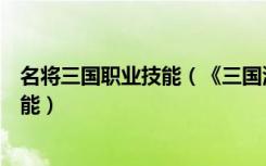 名将三国职业技能（《三国演义》游戏乐师之转职职业及技能）