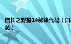 信长之野望14秘籍代码（口袋妖怪信长的野望金手指代码汇总）