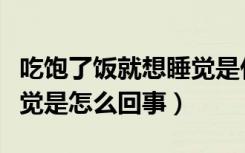吃饱了饭就想睡觉是什么原因（吃饱饭就想睡觉是怎么回事）