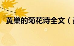 黄巢的菊花诗全文（黄巢的菊花诗有哪些）