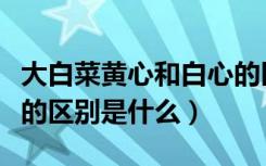 大白菜黄心和白心的区别（黄心白菜和大白菜的区别是什么）