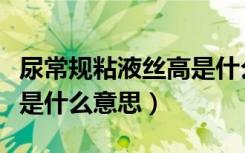 尿常规粘液丝高是什么原因（尿常规粘液丝高是什么意思）