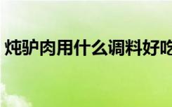 炖驴肉用什么调料好吃（炖驴肉用什么调料）