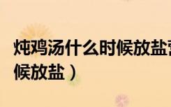 炖鸡汤什么时候放盐营养最佳（炖鸡汤什么时候放盐）