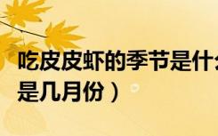 吃皮皮虾的季节是什么时候（吃皮皮虾的季节是几月份）