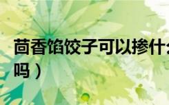 茴香馅饺子可以掺什么（茴香馅饺子可以冷冻吗）