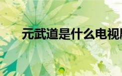 元武道是什么电视剧（元武道是什么）