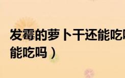 发霉的萝卜干还能吃吗图片（发霉的萝卜干还能吃吗）