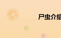 尸虫介绍（尸虫）