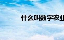 什么叫数字农业（什么叫数轴）