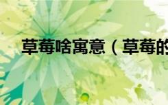 草莓啥寓意（草莓的寓意与象征是什么）