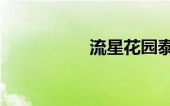 流星花园泰版（流星）