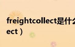 freightcollect是什么意思中文（freightcollect）